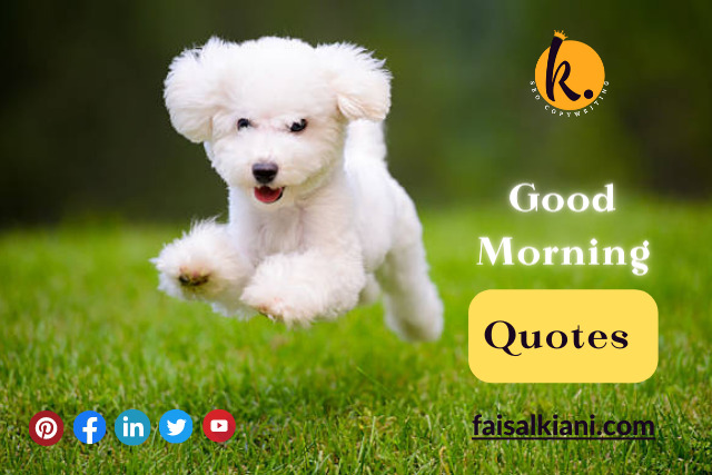 Inspiring Good Morning Quotes to Charge Your Day For Success