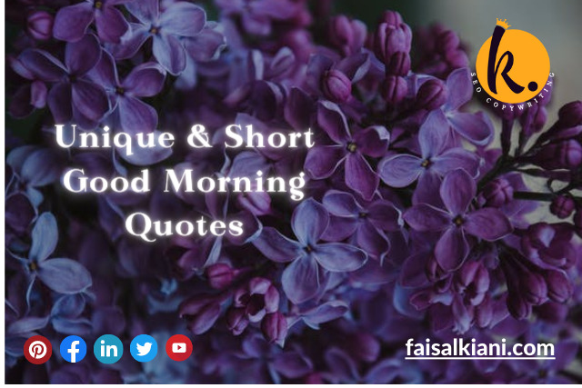 Unique and Short Good Morning Quotes 