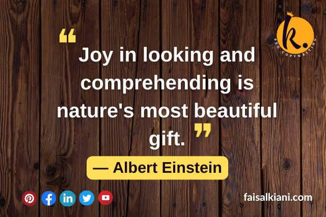 Albert Einstein Quotes About Success 7
