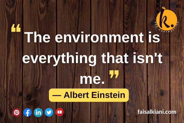 Albert Einstein Quotes About Success 9