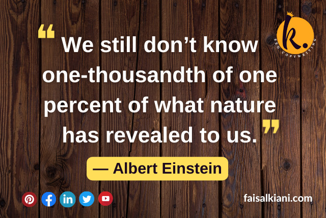 Albert Einstein's Quotes About Science 10