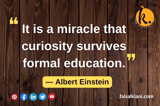 Albert Einstein's Quotes About Science 12