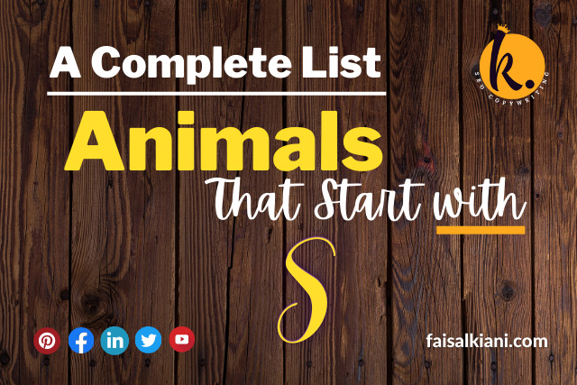 Animals That Start With S | Complete List for You