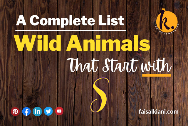 Wild Animals that start with s