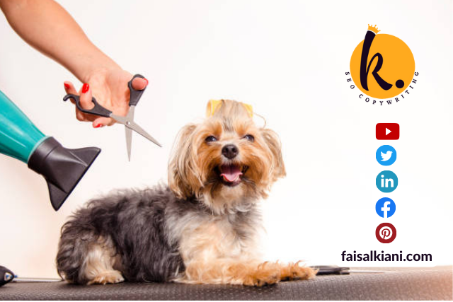 Best dog grooming tools for home