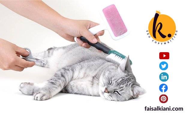 Professional pet grooming tools